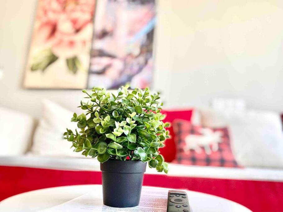 Tropicana 218 Macalister #Wondercolor #Infinity Pool #Georgetown #5Pax #2Br 2Bath #1King 1Queen 1Single #Quality Well Maintained #Private Host エクステリア 写真